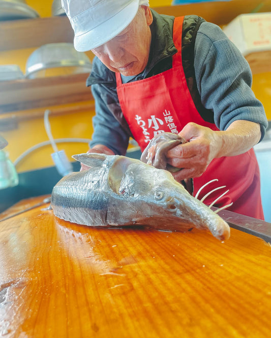 【チョウザメはサメじゃない!?】実は凄く美味しい淡水魚、食べ方をご紹介
