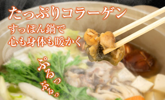 「まだまだ寒さが続くこの季節、体の芯から温まるすっぽん鍋で、心も体も元気に過ごしませんか?🍲 」