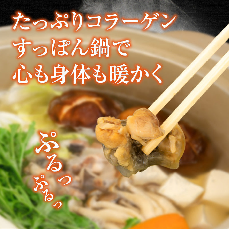 コラーゲンぷるぷる!すっぽん鍋セット(2~3人前)